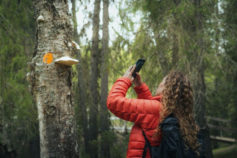 Auttiköngäs Hiking Experience - Customer Reviews