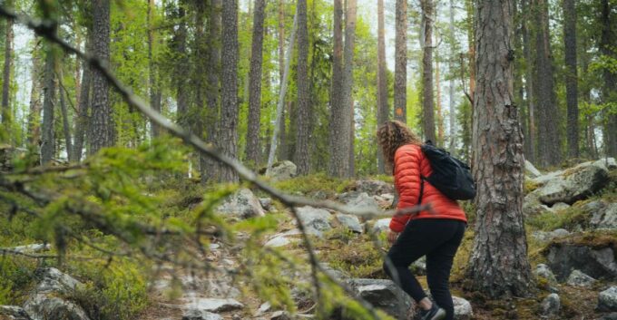 Auttiköngäs Hiking Experience - Getting to the Hike