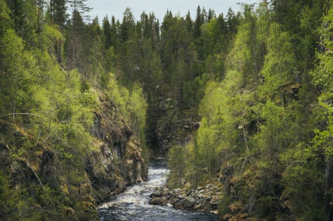 Auttiköngäs Hiking Experience - Frequently Asked Questions