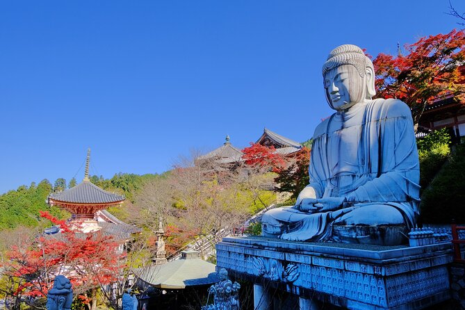 Autumn Leaves Buddha and Mt.Yoshino With Orange Picking Tour - Key Points