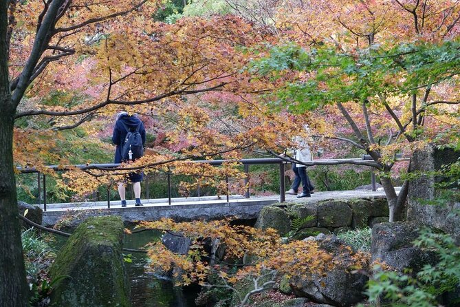 Autumn Leaves Private Tour in Nagoya - Cancellation Policy and Refunds