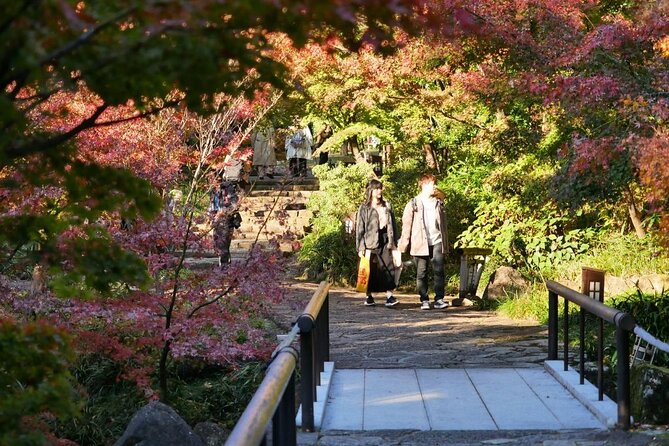 Autumn Leaves Private Tour in Nagoya - Schedule and Duration