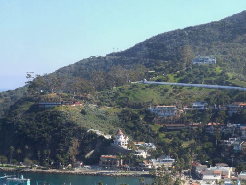 Avalon, Catalina Island: 2-Hour Inside Adventure Tour - Key Points