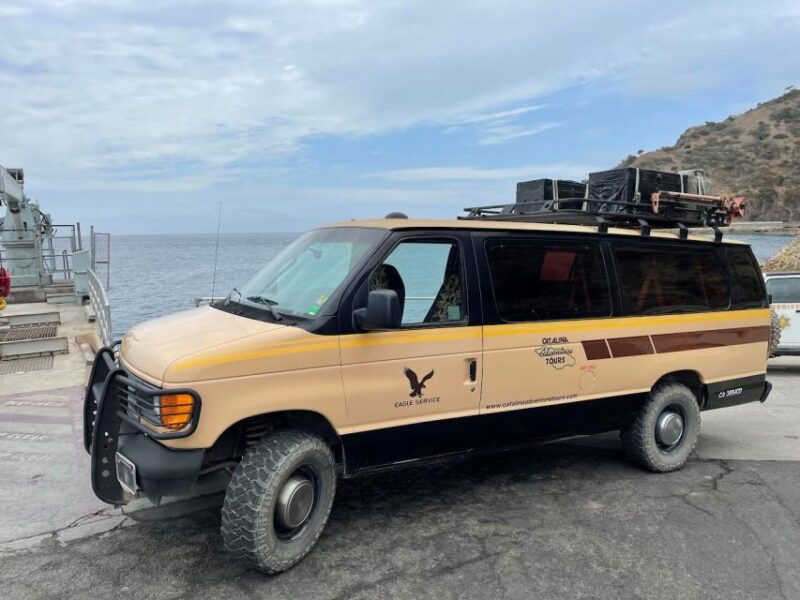 Avalon, Catalina Island: 2-Hour Inside Adventure Tour - Wildlife and Scenic Highlights