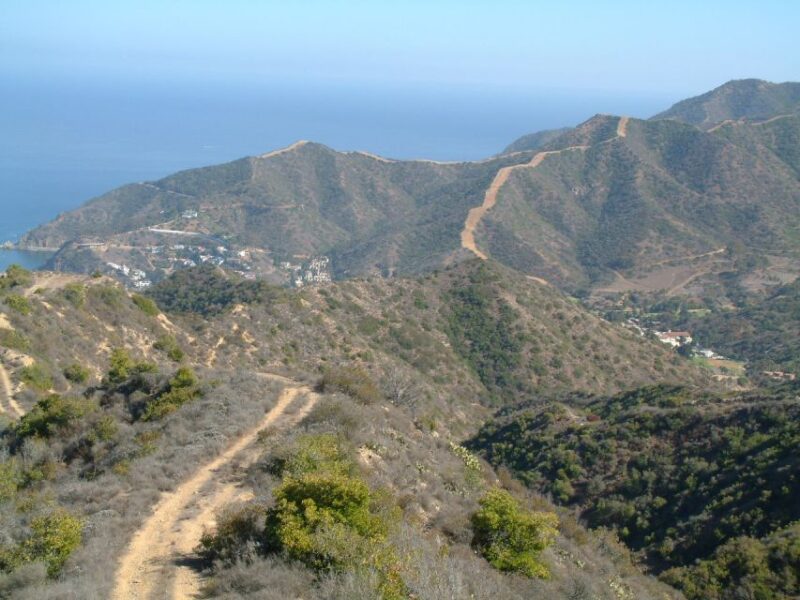 Avalon, Catalina Island: 2-Hour Inside Adventure Tour - Customer Experiences and Reviews