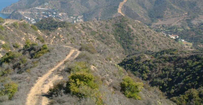 Avalon, Catalina Island: 2-Hour Inside Adventure Tour - Getting to the Tour