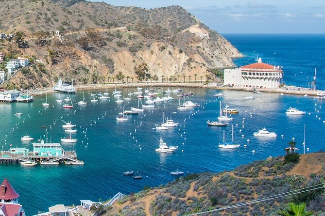 Avalon City: A Self-Guided Audio Tour - Cancellation Policy