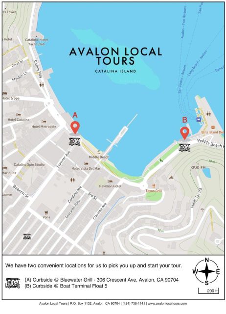 Avalon: Private Golf Cart Tour With Driver-Guide - Tour Experience