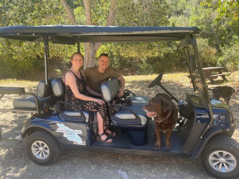 Avalon: Private Golf Cart Tour With Driver-Guide - Customer Reviews