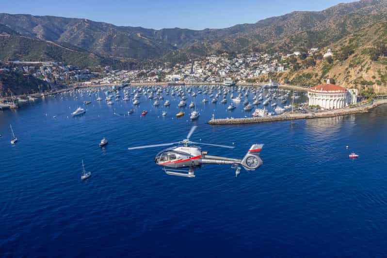 Avalon: Santa Catalina Island Aerial Helicopter Tour - Key Points