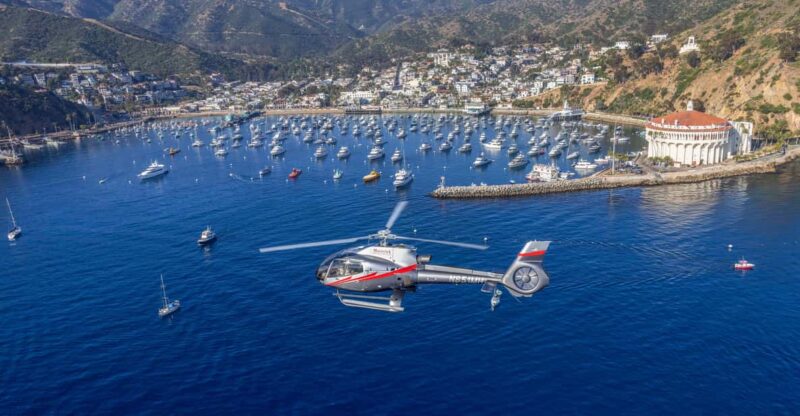Avalon: Santa Catalina Island Aerial Helicopter Tour - Experience Highlights