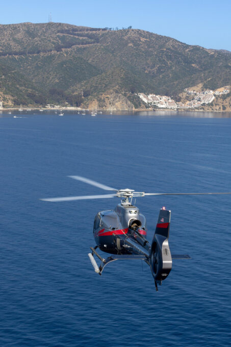 Avalon: Santa Catalina Island Aerial Helicopter Tour - Wildlife Spotting Opportunities