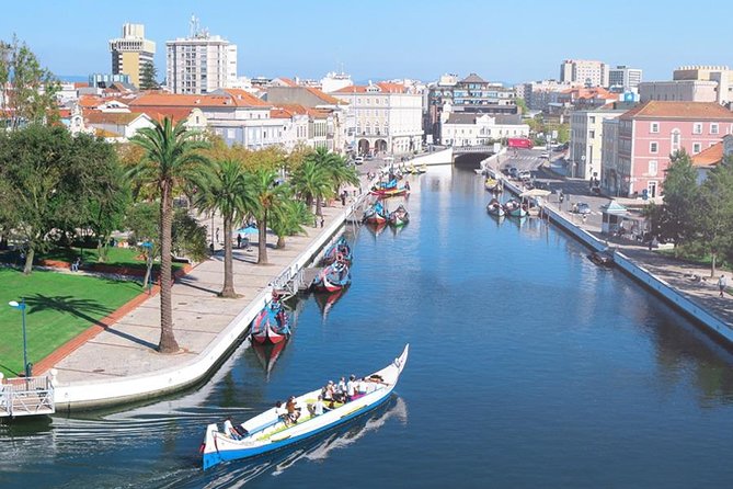 Aveiro and Coimbra Beauty and History Tour - Meeting and Pickup Information