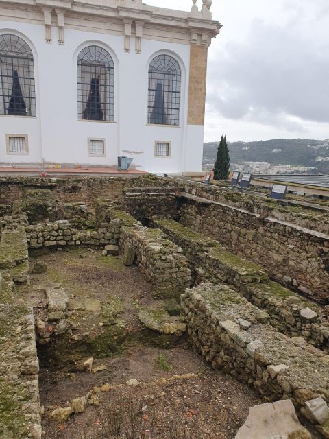 Aveiro and Coimbra Day Trip From Porto - Pickup and Transportation