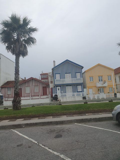 Aveiro and Coimbra Day Trip From Porto - Aveiro Canals and Attractions