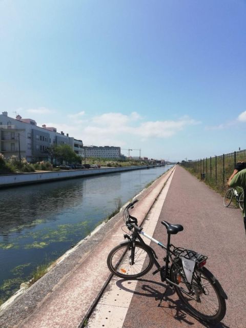 Aveiro: City of Canals Bike Tour - Tour Pricing