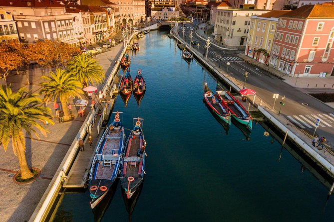 Aveiro Half Day Private Tour Porto W/ Moliceiro River Cruise - Exploring Aveiros Canals
