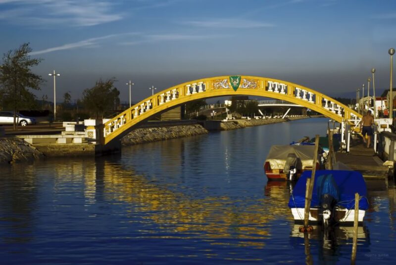 Aveiro: Half Day Tour With Boat Ride - Inclusions