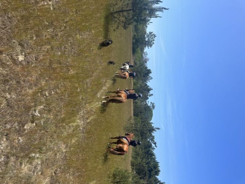 Aveiro: Horse Riding Experience With Instructor - Key Points