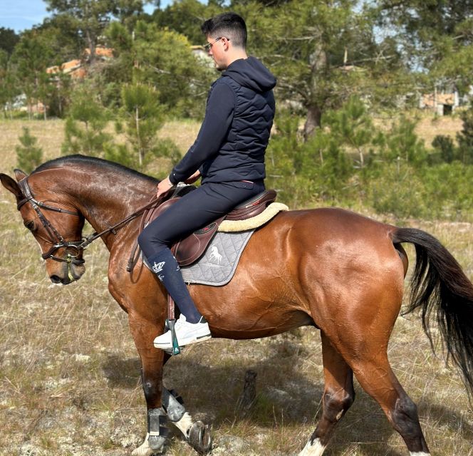 Aveiro: Horse Riding Experience With Instructor - Picturesque Location