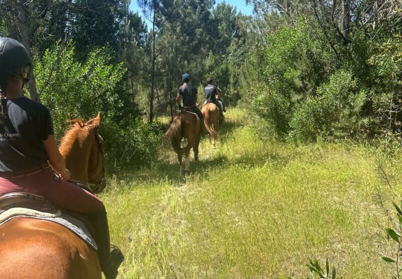 Aveiro: Horse Riding Experience With Instructor - Riding Experience Details