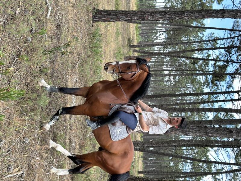 Aveiro: Horse Riding Experience With Instructor - Pricing and Cancellation