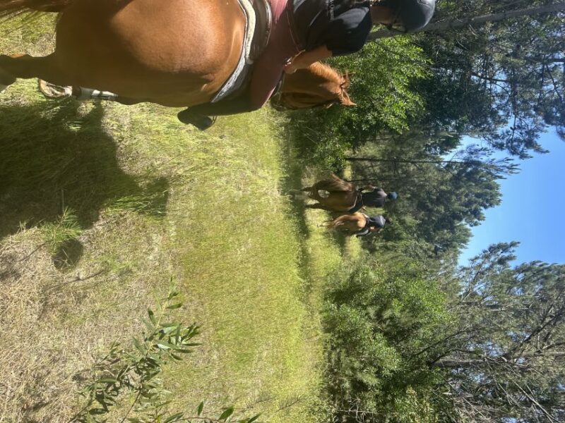 Aveiro: Horse Riding Experience With Instructor - Meeting Point and Logistics