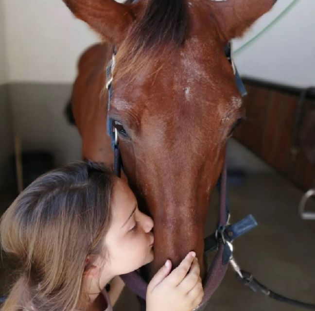 Aveiro: Horseback Riding at a Pedagogical Farm - Booking and Cancellation