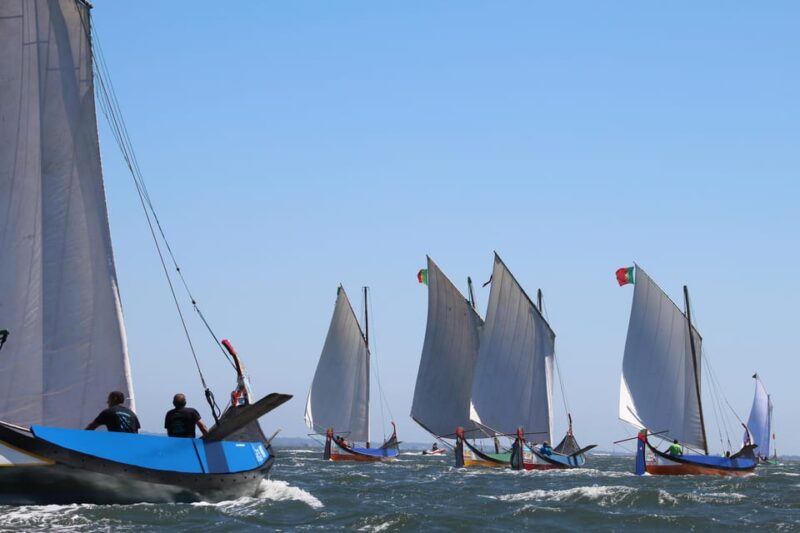 Aveiro - Murtosa: Moliceiro Boat Trip - Key Points
