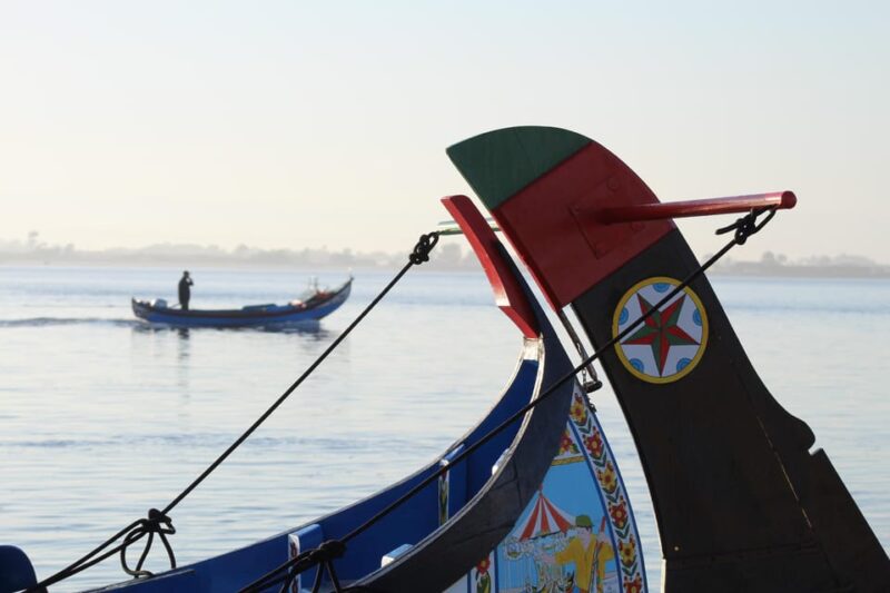 Aveiro - Murtosa: Moliceiro Boat Trip - Tour Highlights