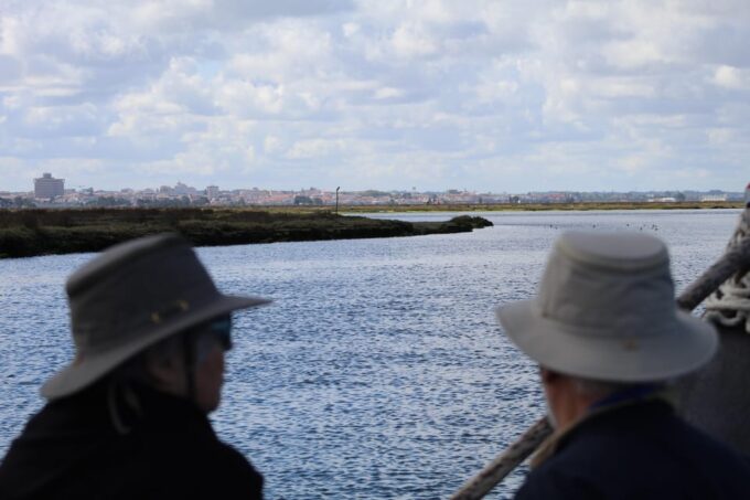 Aveiro - Murtosa: Moliceiro Boat Trip - What to Expect