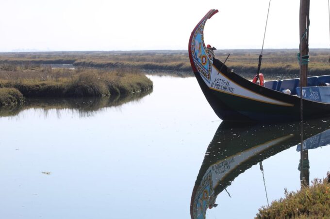 Aveiro - Murtosa: Moliceiro Boat Trip - Frequently Asked Questions