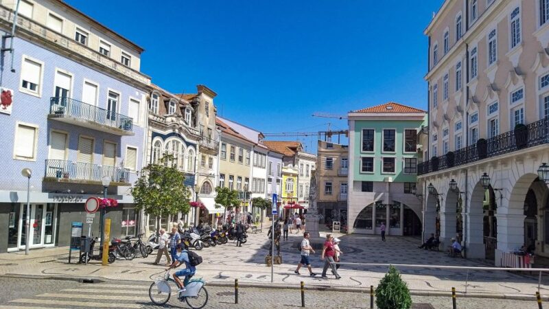 Aveiro Private Tour, Bairrada Wine Cellars & Roasted Piglet - Itinerary and Activities