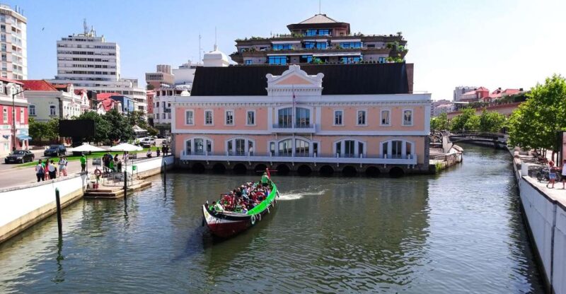 Aveiro Private Tour, Bairrada Wine Cellars & Roasted Piglet - Transport and Accessibility