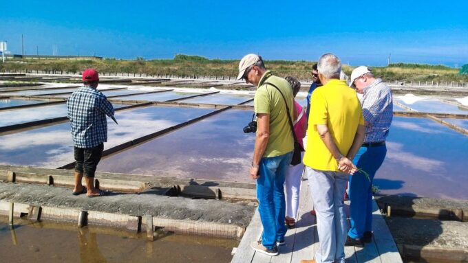 Aveiro Private Tour, Bairrada Wine Cellars & Roasted Piglet - Discover Bairrada