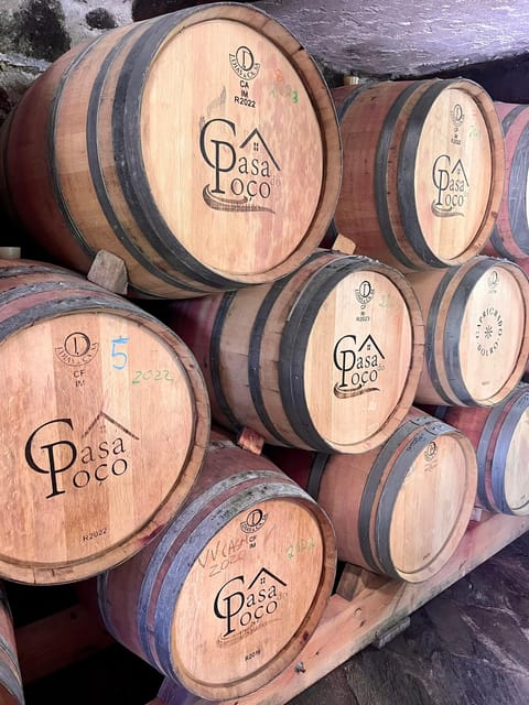 Aveiro: Private Wine Tour in Douro and Bairrada - Itinerary and Activities