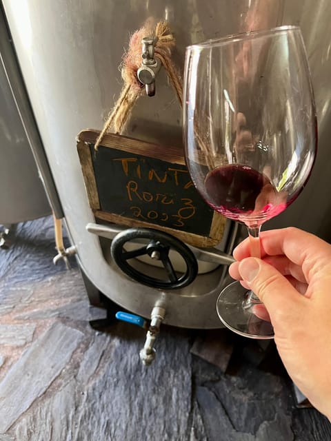 Aveiro: Private Wine Tour in Douro and Bairrada - Douro Valley Experience
