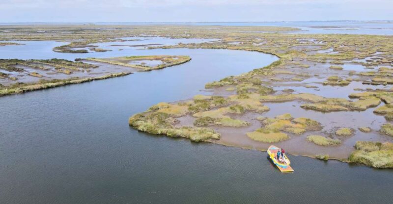 Aveiro: Ria Highlights Boat Tour - Unique Ecosystem Exploration