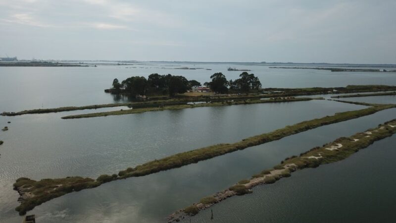 Aveiro: Ria Highlights Boat Tour - Meeting Point and Restrictions