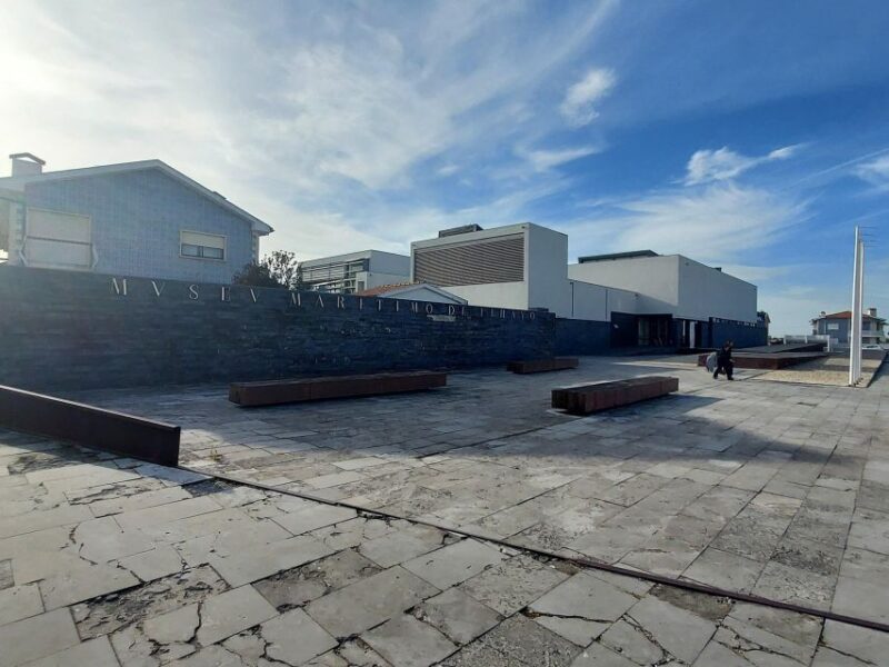Aveiro: Tour and Cod Tasting in a Private House - Cod Tasting Experience