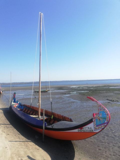 Aveiro: Tour Ria - Bike Adventure in Aveiro's Estuary - Key Points