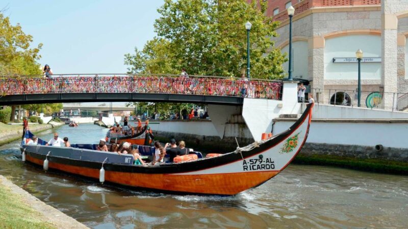 Aveiro: Traditional Moliceiro Boat Cruise - Activity Overview