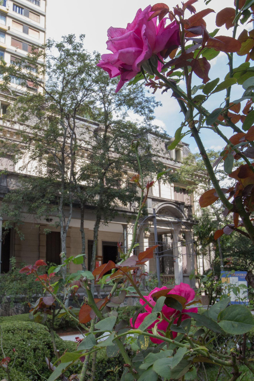 Avenida Paulista: Attractions Walking Tour - Key Points