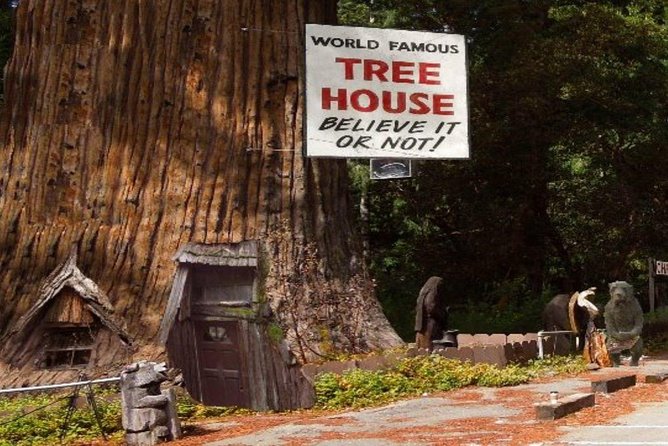 Avenue of the Giants Redwoods Private 2-Day Tour +1 Night Hotel - Inclusions