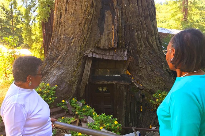 Avenue of the Giants Redwoods Private 2-Day Tour +1 Night Hotel - Pickup and Drop-off
