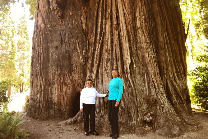 Avenue of the Giants Redwoods Private 2-Day Tour +1 Night Hotel - Dining Options