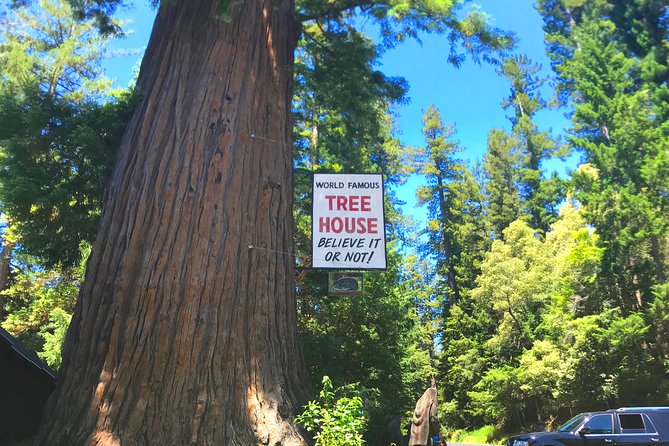 Avenue of the Giants Redwoods Private 2-Day Tour +1 Night Hotel - Accessibility