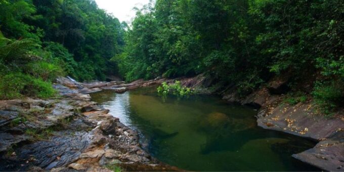Avian Discovery and Cycling Adventure in Kitulgala - Recommended Attire and Gear