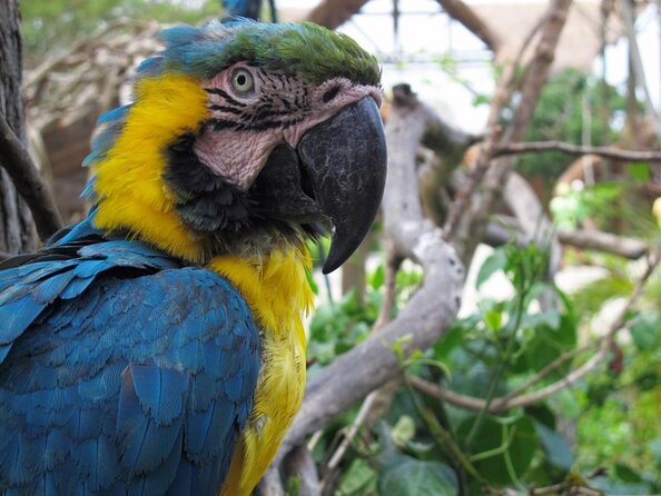 Aviario Nacional Including Playa Blanca Shared Tour - Key Points