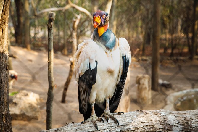 Aviario Nacional Including Playa Blanca Shared Tour - Transportation and Pickup